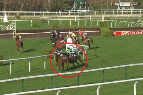 Chaos as first and second-placed horses are disqualified for taking WRONG course and third past..