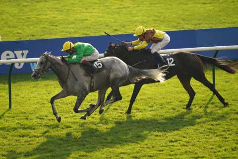 Leading Cheltenham Festival hope Buzz suffers ‘severe’ injury setback, Nicky Henderson confirms