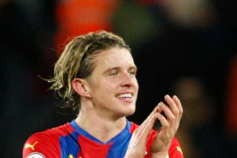 Desperate Crystal Palace fans set up GoFundMe page to raise £50MILLION for Conor Gallagher transfer ..