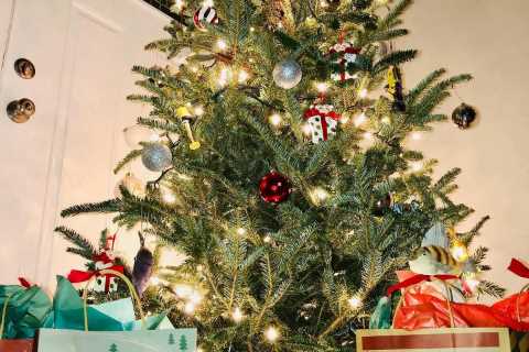 Jon Gosselin shows off Christmas tree in Pennsylvania home he shares with kids Hannah and Collin, 17