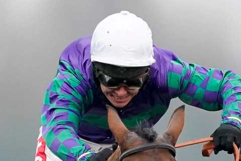Cheltenham Festival ante post tip: Templegate says 6-1 for this top class stayer is an absolute..