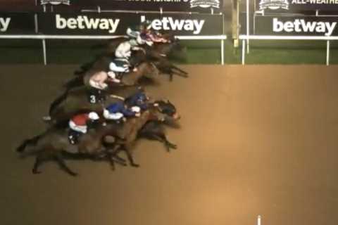 Watch incredible moment EIGHT horses cross finish line at nearly same time leaving punters stumped..