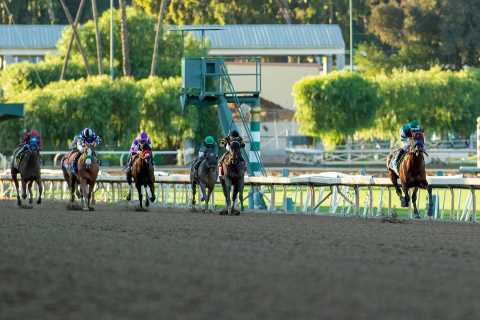 Meet the ‘best horse since Frankel’ – Flightline is the $1million superstar ready to dominate racing