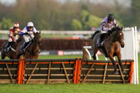 Paul Nicholls takes Challow Hurdle again as Stage Star shines brightest in Newbury Grade 1