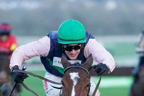 Dramatic Cheltenham final flight fall means Danny Mullins celebrating again thanks to Stormy Ireland