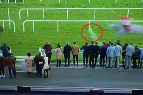 ‘Disgraceful’ moment idiot racegoer launches pint at Grand National-winning jockey and horse..
