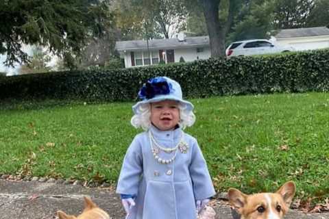 Young girl receives sweet letter from Windsor Castle after dressing up as the Queen with her corgis