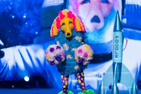 Masked Singer fans convinced Poodle is Take That star – but did you spot it?
