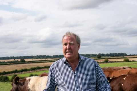 Jeremy Clarkson left with ‘smashed testicles’ after eye-watering cow attack on farm