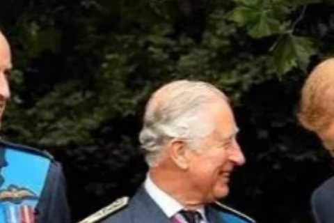 Prince Charles praises sons’ work on environmental issues and says planet needs to go on ‘war-like..