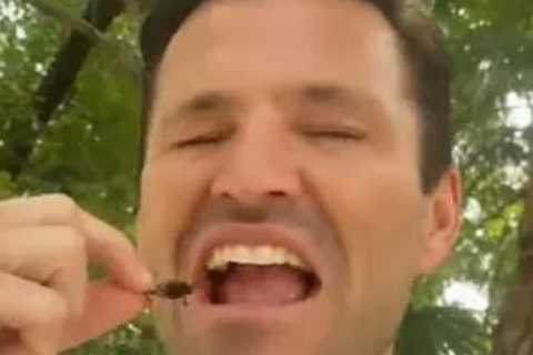 Mark Wright jokes he’s returned to I’m A Celebrity as he does ‘Bushtucker Trial’ on holiday with..