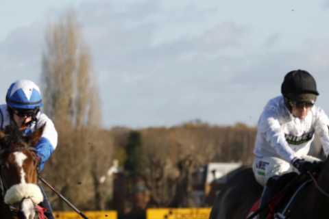 Nicky Henderson prepares unbeaten Cheltenham Festival fancies Constitution Hill and Jonbon for next ..