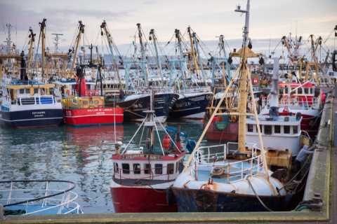 England’s most lucrative fishing port defies Brexit doom-mongers by landing record £43.6million of..