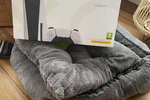 I ordered my son a PS5 for Christmas but when he opened the box all he found was a DOG BED
