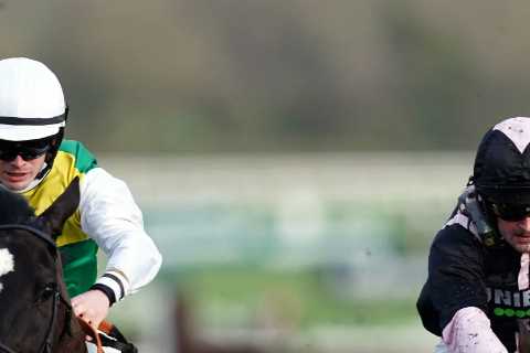Massive 109st horse Hillcrest, who’s too big to measure and nicknamed Rodney, looks a Cheltenham..