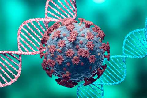 What is the new Covid variant IHU?