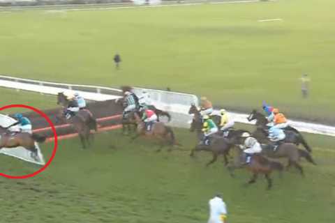 Punters watch in horror as jockey crashes through wing after odds-on favourite’s freak first-fence..