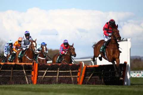 Cheltenham Festival ante post tip: Templegate says 14-1 for exciting chaser is great value