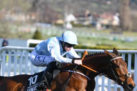 Cheltenham Festival ante post tip: 9-1 treble made up entirely of favourites has to be backed