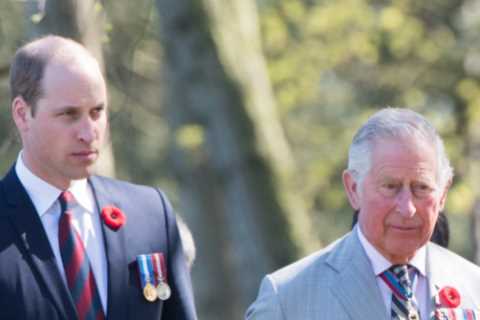 Prince William and Charles ‘absolutely furious’ with Andrew over sex case legal bills ‘mess’ as..