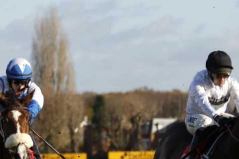 Don’t be surprised if Constitution Hill’s brilliant owner is in tears if his star wins at Sandown