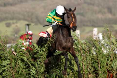 Cheltenham Festival: Mystery over billionaire JP McManus’ new horse who rockets to top of Cross..