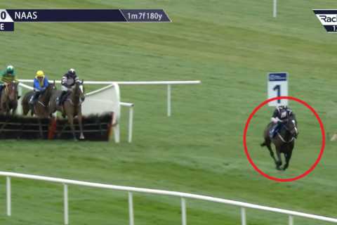 Punters shocked to learn horse tipped for Cheltenham Festival glory shares name with ‘milf’ porn..