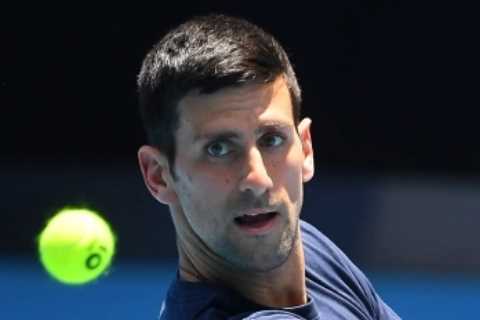 Australia ‘preparing’ case to deport Novak Djokovic as not doing so ‘would set dangerous precedent’