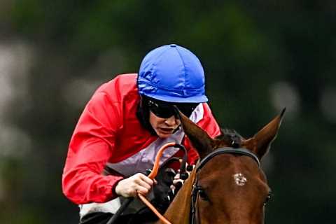 Cheltenham Festival: Henry de Bromhead’s five best runners ranked