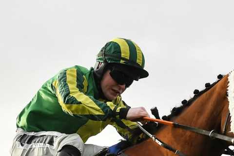 Cheltenham Festival ante post tip: Templegate says recent winner is brilliant 20-1 each way shout