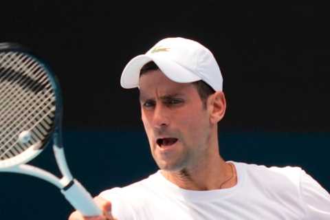 Novak Djokovic’s anti-vax visa drama in Australia ‘to be shown on Netflix in behind-the-scenes..