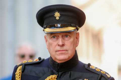 What were Prince Andrew’s military titles?