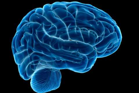 I’m a doctor and here’s the 7 ways Covid affects your BRAIN