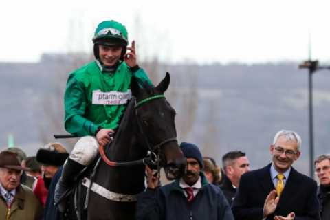 Cheltenham Festival ante post tip: 25-1 Nicky Henderson hurdler is amazing value for Coral Cup