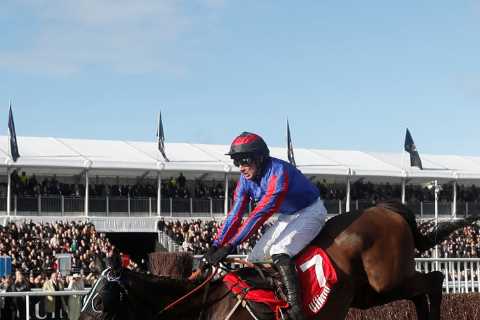 Cheltenham Festival-winning jockey forced to retire aged 31 after horrific fall leaves him with..