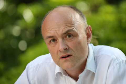 Dominic Cummings claims Boris Johnson ‘lied to Parliament’ over lockdown-busting No10 garden party