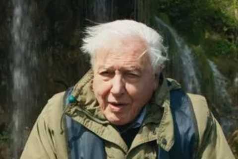 Stunned The Green Planet viewers all say the same thing about David Attenborough after episode two