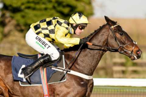 Get MASSIVE Shishkin boosted double to win Champion Chase and Clarence House Chase