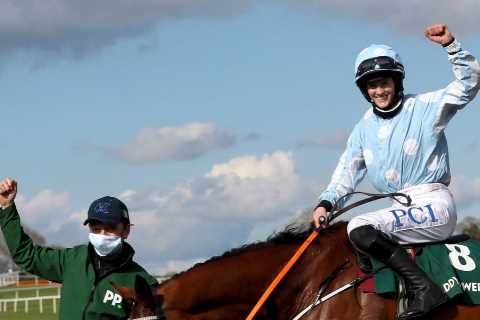 Cheltenham Festival: Which huge favourite will sting punters by flopping on the day?
