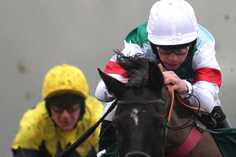 Cheltenham Festival ante post tip: Templegate likes rapidly improving 16-1 and 25-1 picks