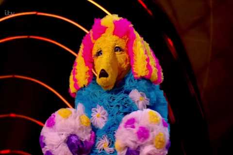 Roman Kemp awkwardly dodges claim he’s Masked Singer’s Poodle after fan confronts him live on radio