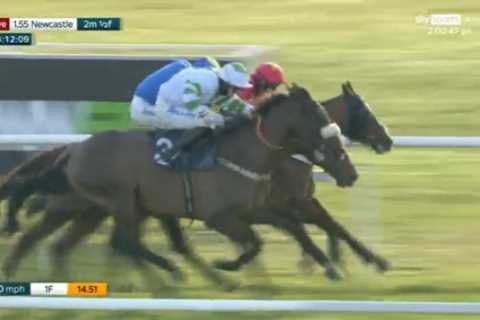 ‘Three heads at the line!’ – Watch amazing three-way photo punters are already calling ‘finish of..