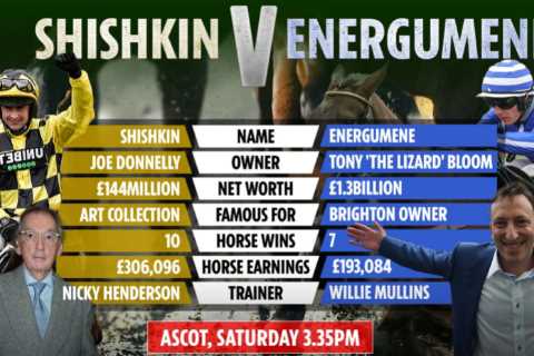 A freak vs a monster: Who will win as Shishkin takes on Energumene in battle of the ultra-rich..