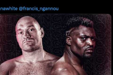 UFC star Francis Ngannou says there is ‘9/10’ chance he will fight Tyson Fury after Ciryl Gane bout ..