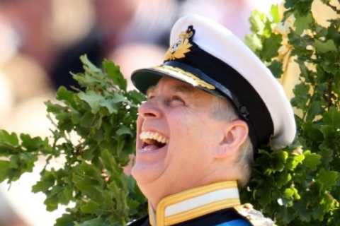 I had to line up Prince Andrew’s 72 teddy bears in size order… it was no picnic