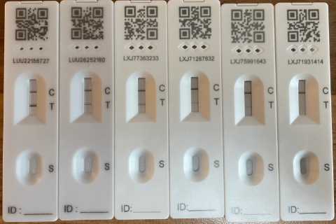 What are the pink lines on your lateral flow test and what do they mean?