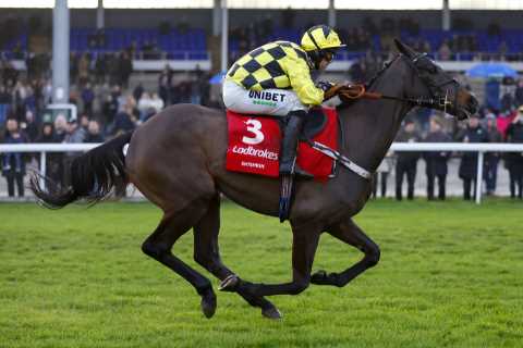 Racing preview: One horse, one longshot &amp; one jockey for Saturday at Ascot, Lingfield, Haydock, ..