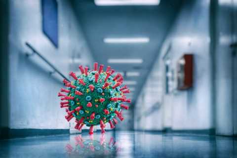 New Covid variant dubbed ‘Omicron’s sister’ is ‘under investigation’, health chiefs warn