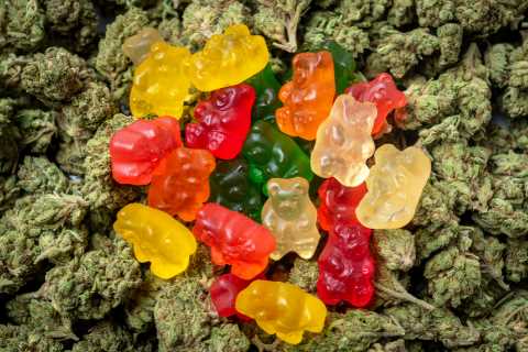 How marijuana-based gummies and pills could be rolled out this year to treat Covid, scientist..