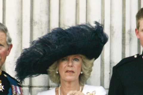 Prince Charles extends olive branch to Prince Harry in fear he will slam Camilla for damaging his..